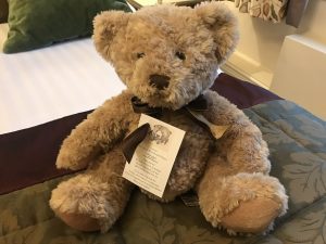 Warwick the teddy bear of New Hall hotel Birmingham