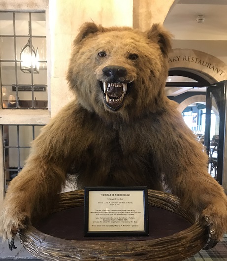 The original Bear of Rodborough