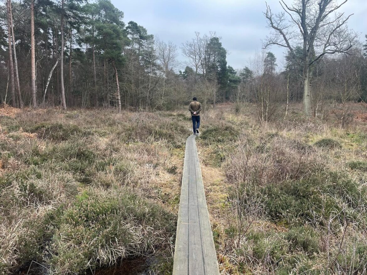 Forest retreat at Burnham Beeches hotel, Bucks - ALadyofLeisure